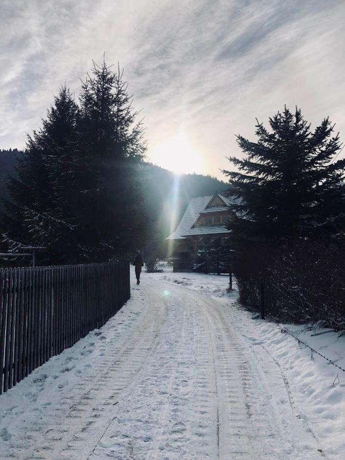 Giewont Mountain View Apartment Zakopane Buitenkant foto